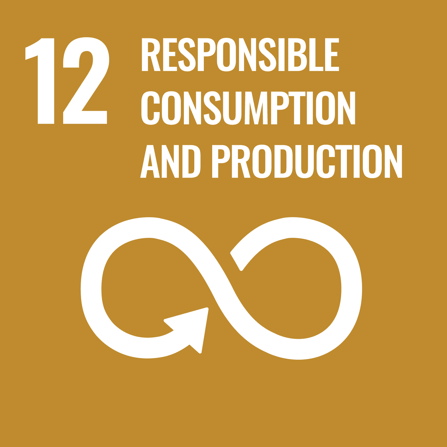 Logo of SDG 12