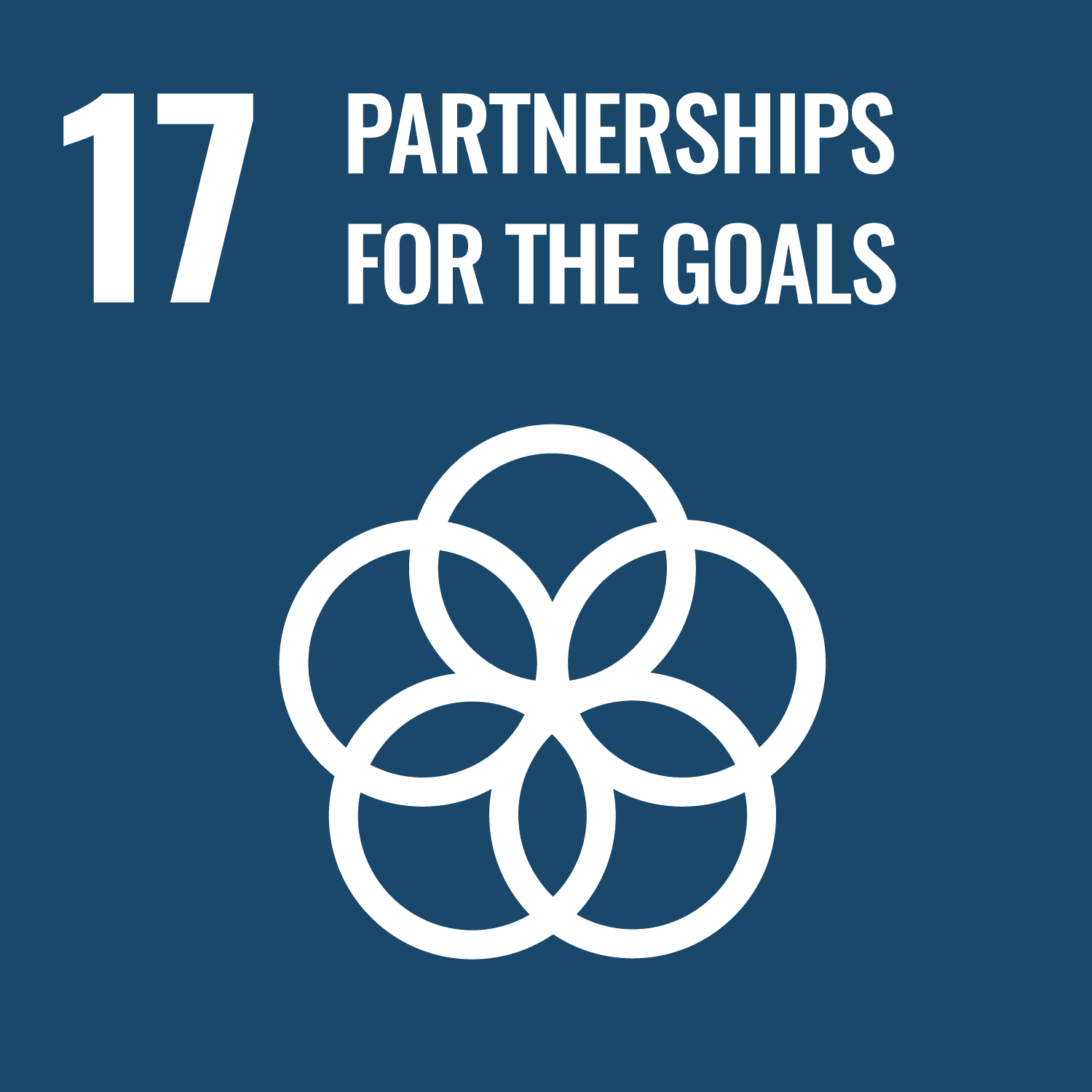 Logo of SDG 17